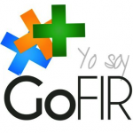 Logo cuadrado Academia FIR GoFIR
